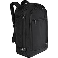 Amazon.com: Dakine Team Heli Pack 12L - Kazu Kokubo, One Size