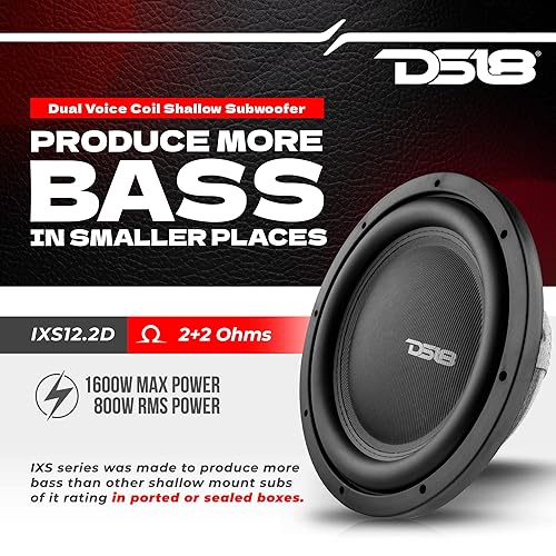 Ds18 Best Slim Car Subwoofer DS18 12