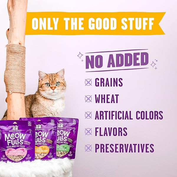 STELLA & CHEWY’S MEOWFULLS FREEZE DRIED CAT TREATS – CHICKEN & CHICKEN LIVER RECIPE – RAW PROTEIN WITH PROBIOTICS & SALMON OIL – 1 CALORIE PER TREAT – 1.5 OZ