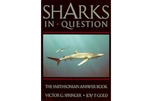 SHARKS IN QUESTION (Smithsonian Answer Books)