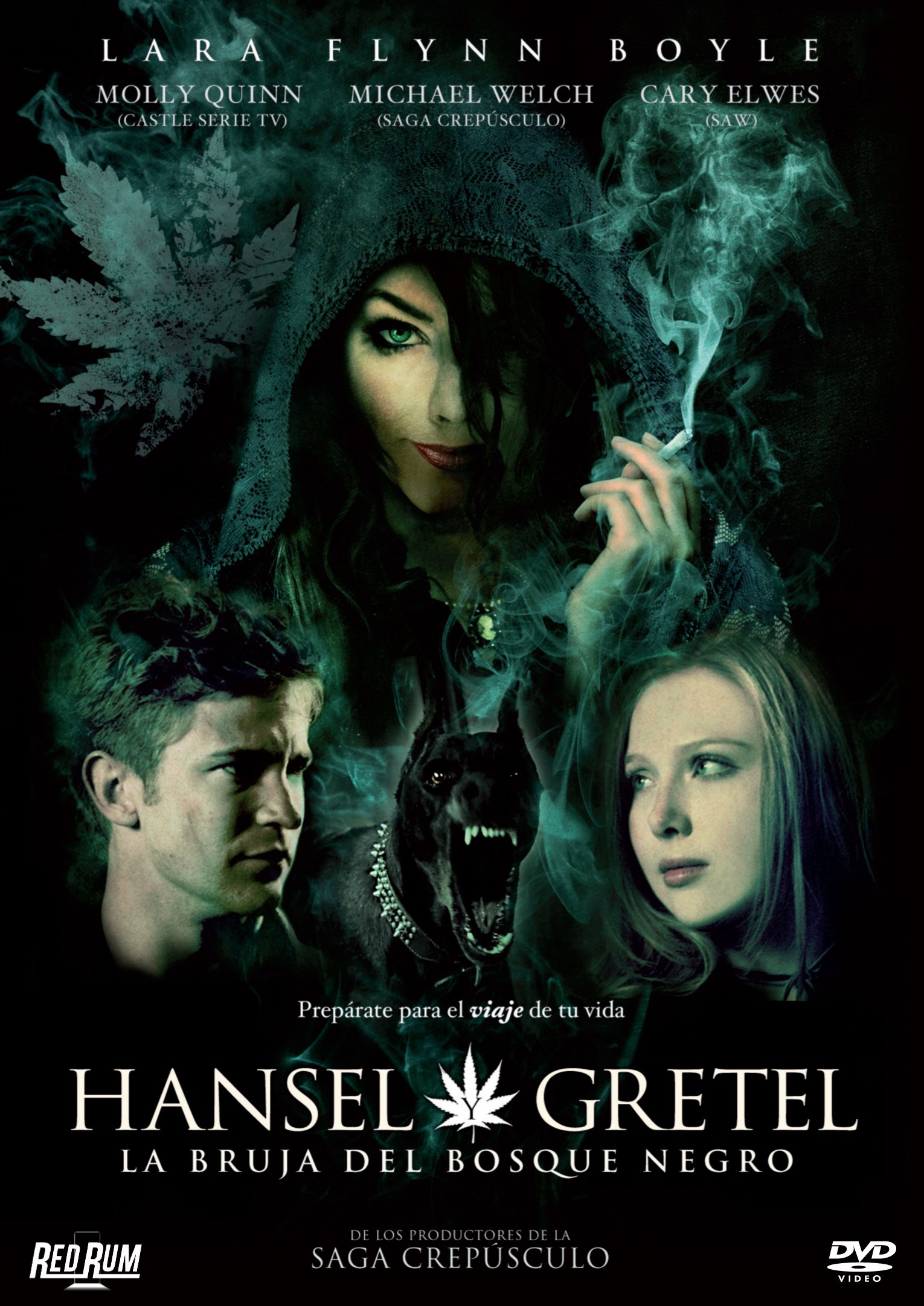 Hansel and Gretel & The 420 Witch (Hansel & Gretel Get Baked, Spain Import, See Details for Languages)