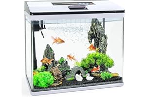 Bluecoco Glass Aquarium Fish Tank Starter Kit with Temperature and Time Display for Betta Fish Featuring Crystal Clear 360° Viewing, Eco-Cycle Filtration, Air Pump, and 7-Color LED Lighting(10 Gallon)