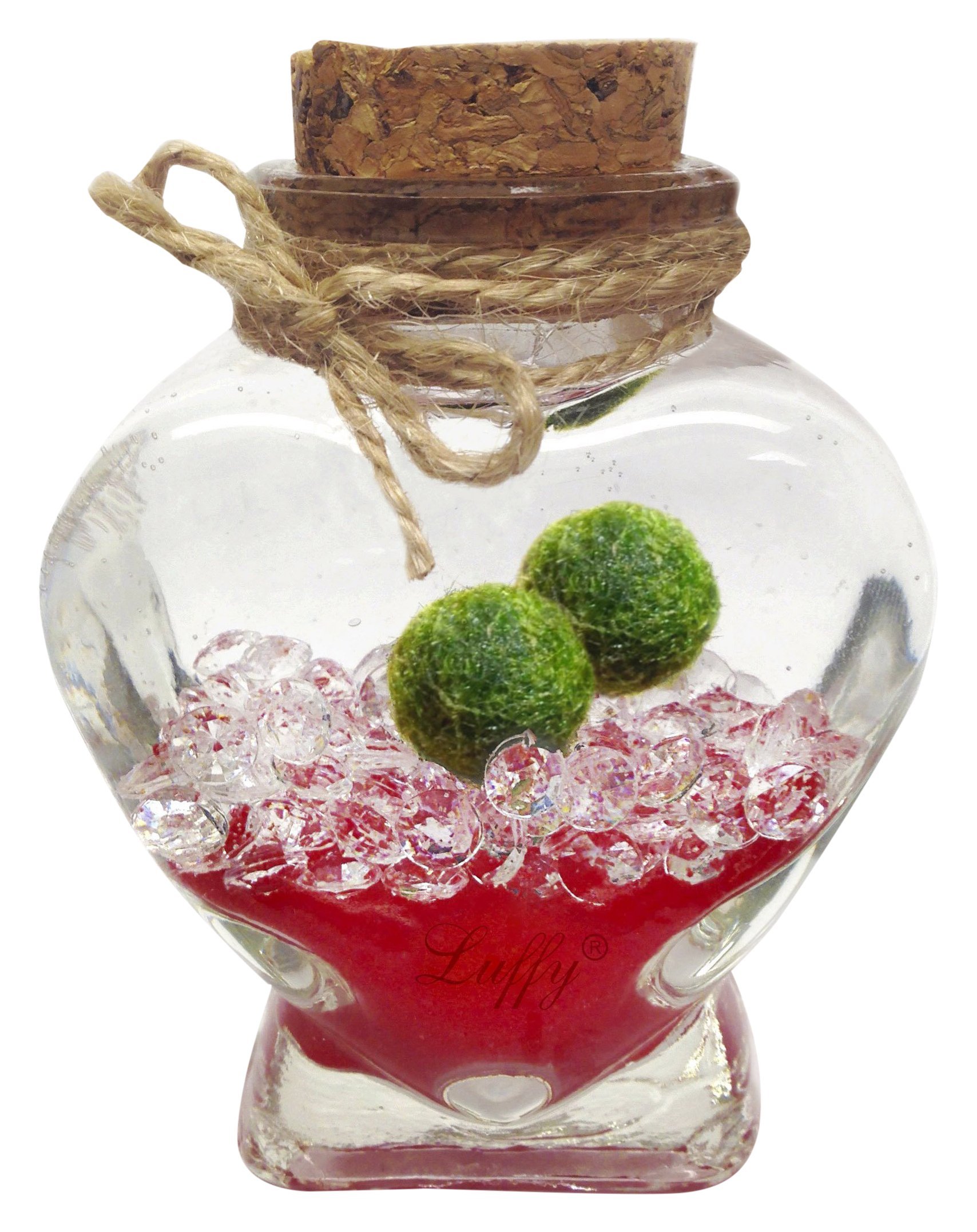 Luffy Marimo Ball Gift Set: Marimo Plant Symbolizes Love - Includes a Heart Shaped Bottle - Increase your Love with this small DIY project (packaging material included) - Perfect for someone Special