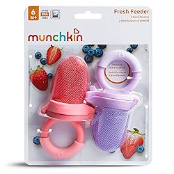Munchkin Baby Feeder for Fresh Food and Fruit, 2