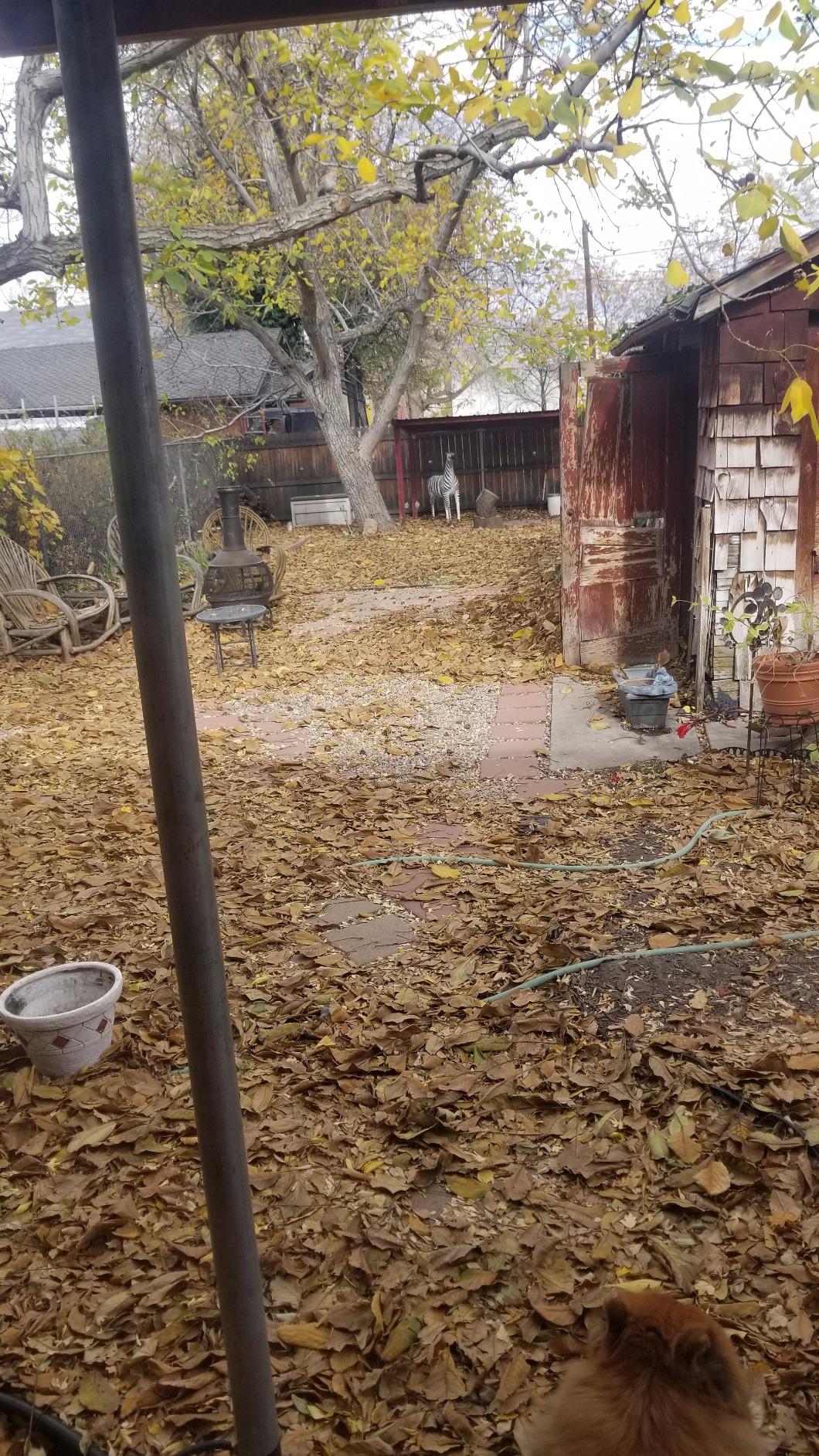 28/mo Finance Flowtron LE900 The Ultimate Mulcher Electric Leaf