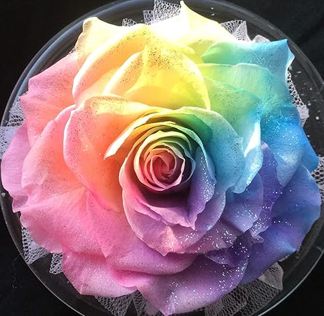 Amazon 北海道レインボーローズ専門店 フローラル Baby Doll プリザーブドフラワーアレンジメント ミニガラスドーム 枯れない希望のお花 レインボーローズ 水色の想い出 プリザーブドフラワー オンライン通販