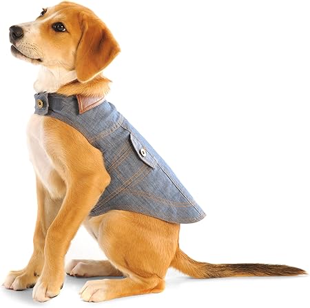 jean jacket for dogs