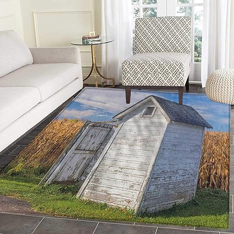 Amazon Com Outhouse Area Silky Smooth Rugs Country Farm Life