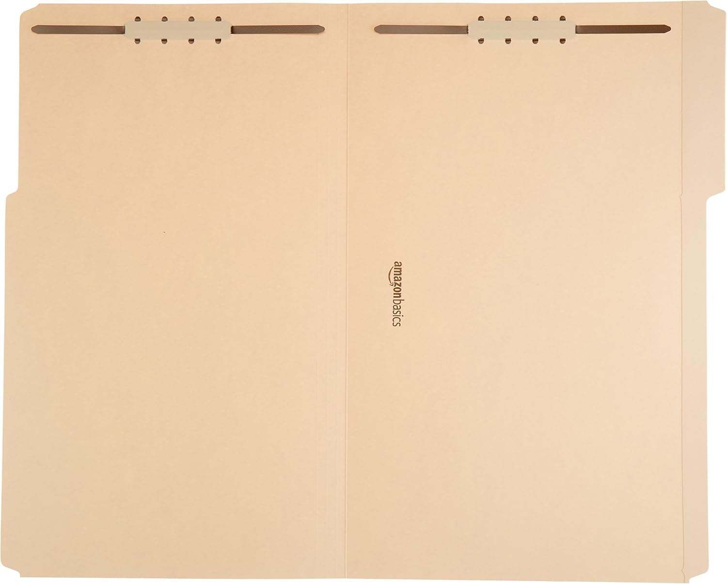 Basics AMZ201 Manila File Folders with Fasteners - Letter Size, 100-Pack : Office Products
