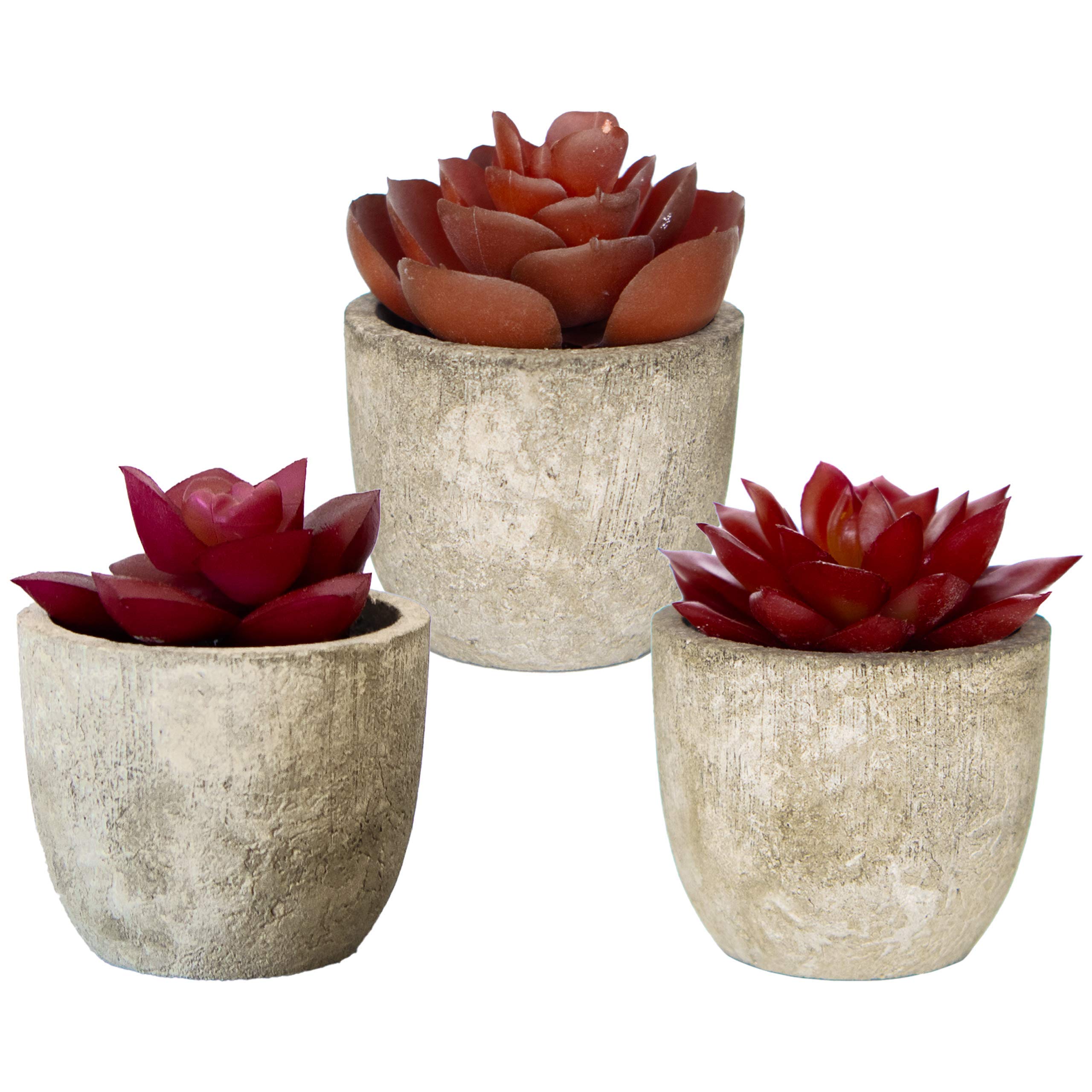 Photo 1 of 3 Artificial Succulents Plants Artificial Pot Small Fake Plants Bedroom Aesthetic Fake Succulent Plants - Cactus Decor Plants Bedroom Decor Potted Faux Succulents Desk Plant Shelf Decor Living Room