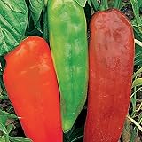 Burpee Corno di Toro Rosso Sweet Pepper Seeds 75