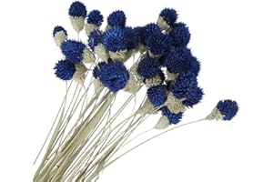 PATIKIL 16 Inch Dried Flowers for Vase, 30 Pcs Mini Pine Ball Flowers Natural Bouquet Bulk Fall Dried Pine Ball Naturally for