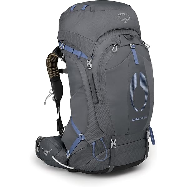 Amazon.com : Osprey Ariel Plus 60L Women's Backpacking Backpack, Night  Jungle Blue, WXS/S : Sports & Outdoors