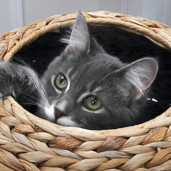 natural sphere cat tower