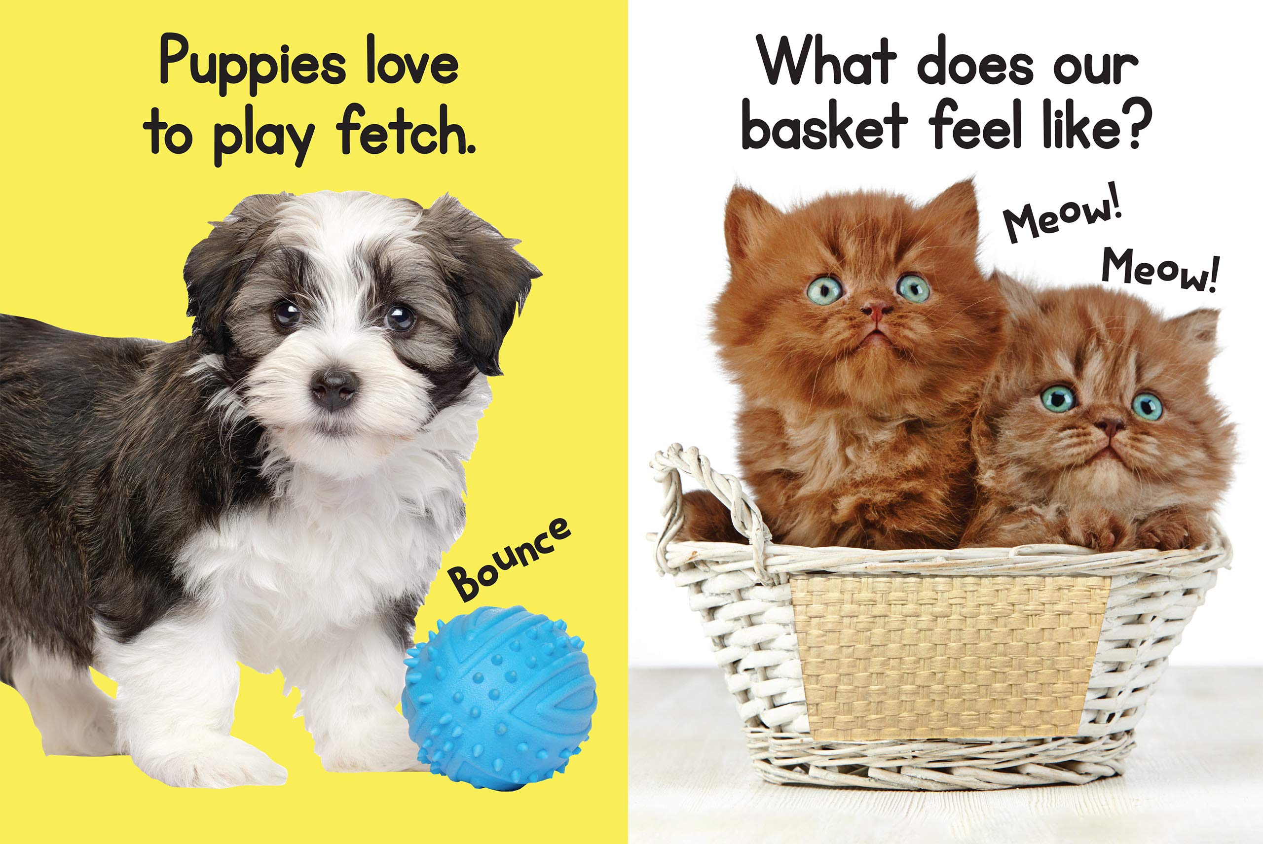 Puppies & Kitties - Touch and Feel Board Book - Sensory Board Book Puppies & Kitties - Touch and Feel Board Book - Sensory Board Book Board book