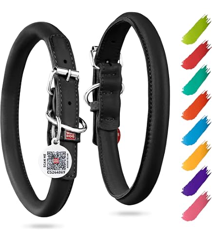 Amazon.com : Coastal Pet Circle T Latigo Leather Round Dog Collar