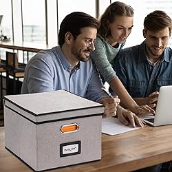 EOOUT File Organizer Box, 1pcs with Lid, Hanging
