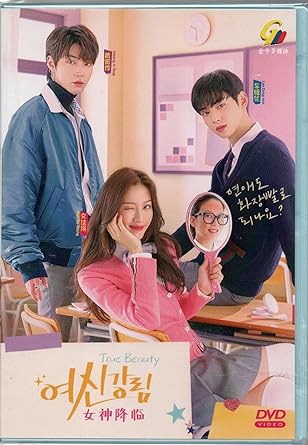 Korean Drama DVD True Beauty Episode 1-16 END English Sub All Region