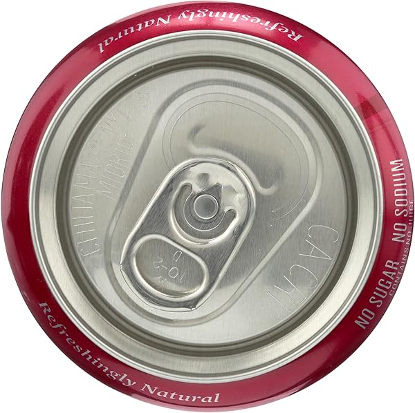 POLAR SELTZER WATER, RASPBERRY LIME, 12 FL OZ