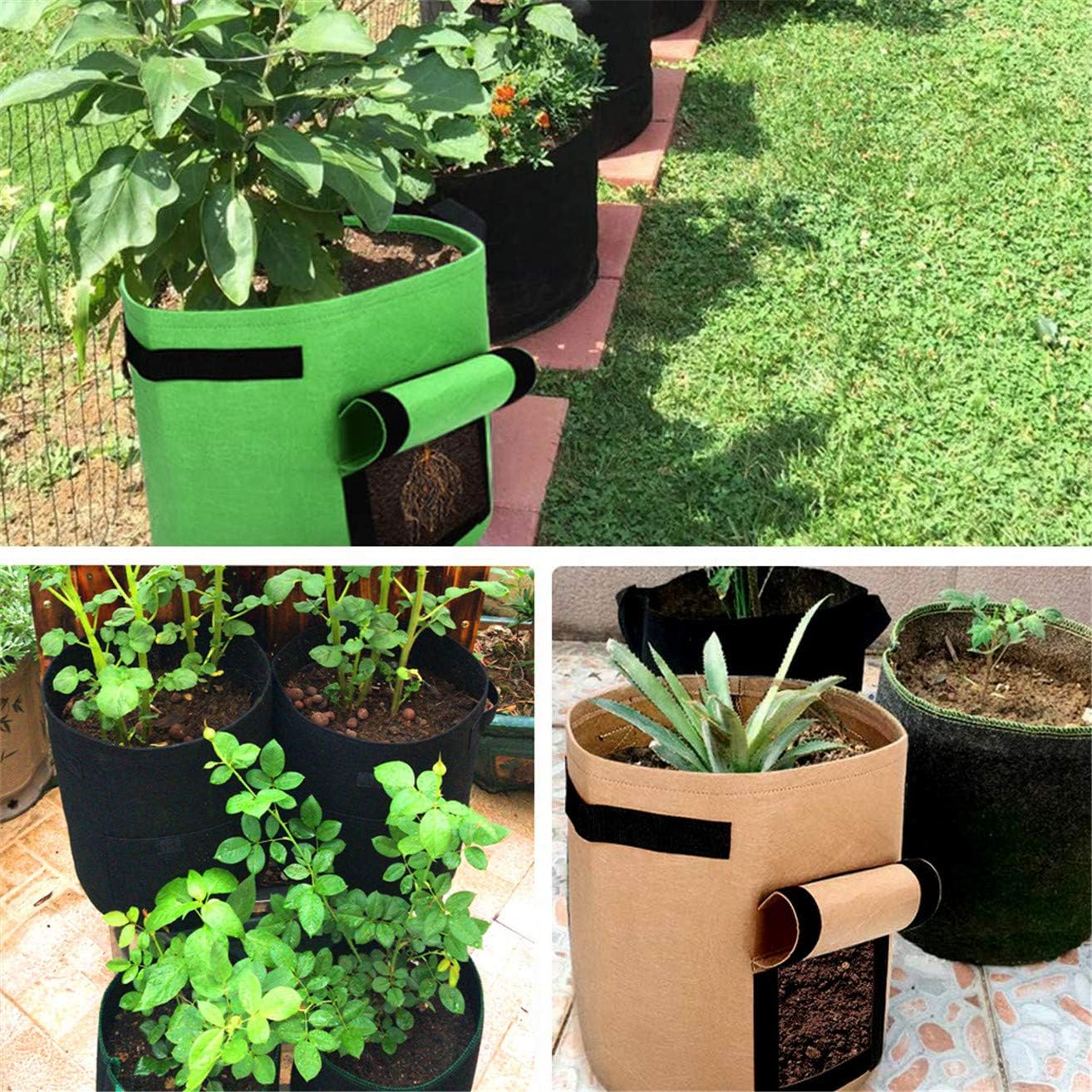 Scoolr bolsas de cultivo de patata, 3 bolsas de cultivo de 7 ...