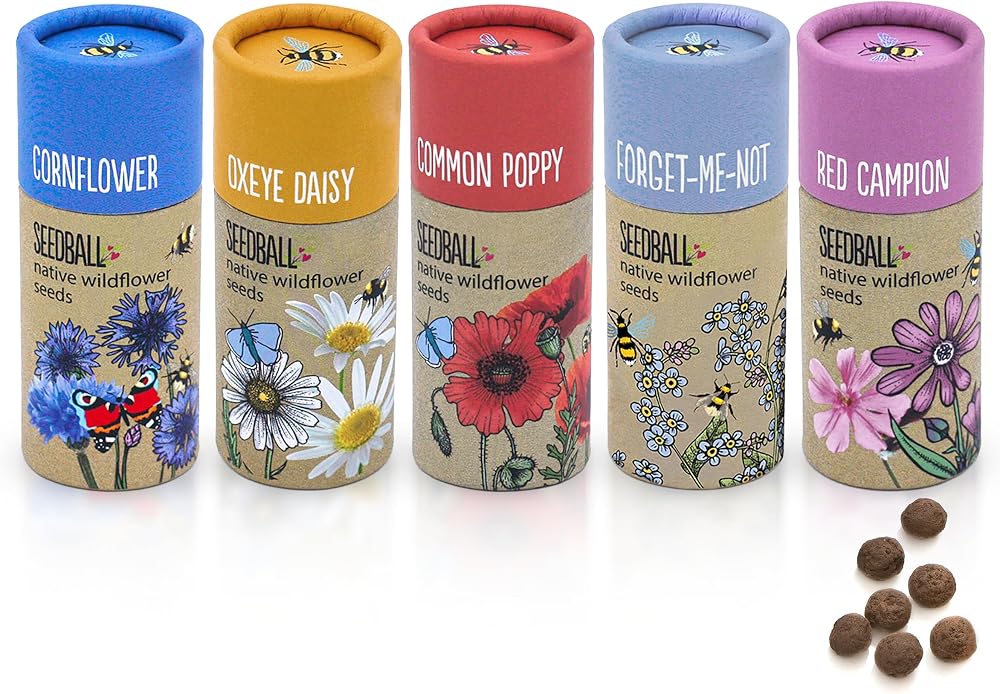 Seedball Wildflower Seed Bombs Set of 5 Tubes Bee Friendly Seeds