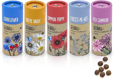 Seedball Wildflower Seed Bombs Set of 5 Tubes Bee Friendly Seeds