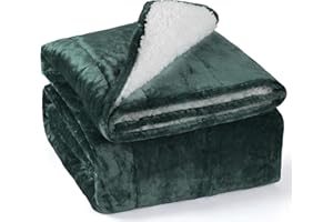 Alomidds Weighted Blanket Queen Size 15lbs 60 x 80 inches,Adult Weighted Blankets with Soft Plush Fleece,Fluffy Thick Warm Sherpa & Cozy Flannel Heavy Blanket for Sofa Bed,Forest Green