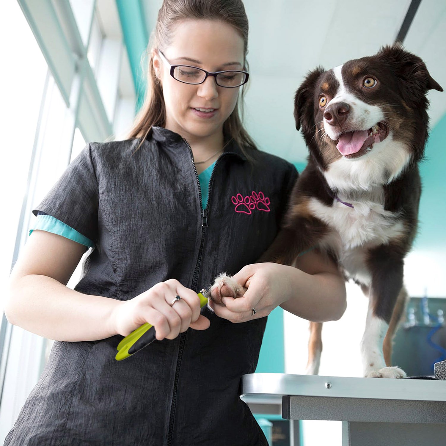 Cortauñas Perro y Lima Uñas Profesional de Acero Inoxidable para Perros Medianos y Grandes