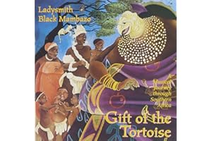 Gift Of The Tortoise: A Musical Journey Through Southern Africa