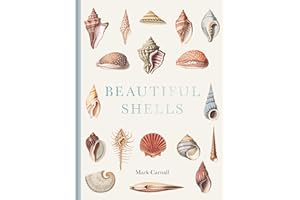 Beautiful Shells: George Perry's Conchology