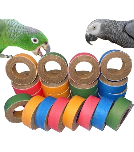 Bonka Bird Toys 2108 – 12 Stück Bunte Schlauchbagels Als Fußspielzeug Für Vögel, 2,5 Cm Durchmesser