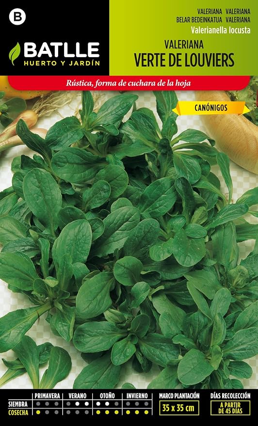 Semillas Batlle 097322BOLS - Valeriana Canónigos Verte de Louviers ...