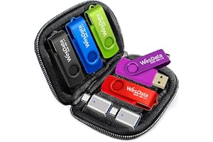 WesData 5 Pack 64GB USB Flash Drive and 2 Pack USB C Adapters in a Case, Thumb Drives Memory Stick Storage and Backup for Smart Phones with Type C Port, Laptops, PC(5 Colors) (64, GB)