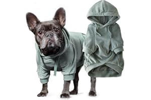 Pet Passion Cooper II Organic Cotton Velour Dog Hoodie Pet Coat for Small, Medium and Large Dogs, Sage, Small
