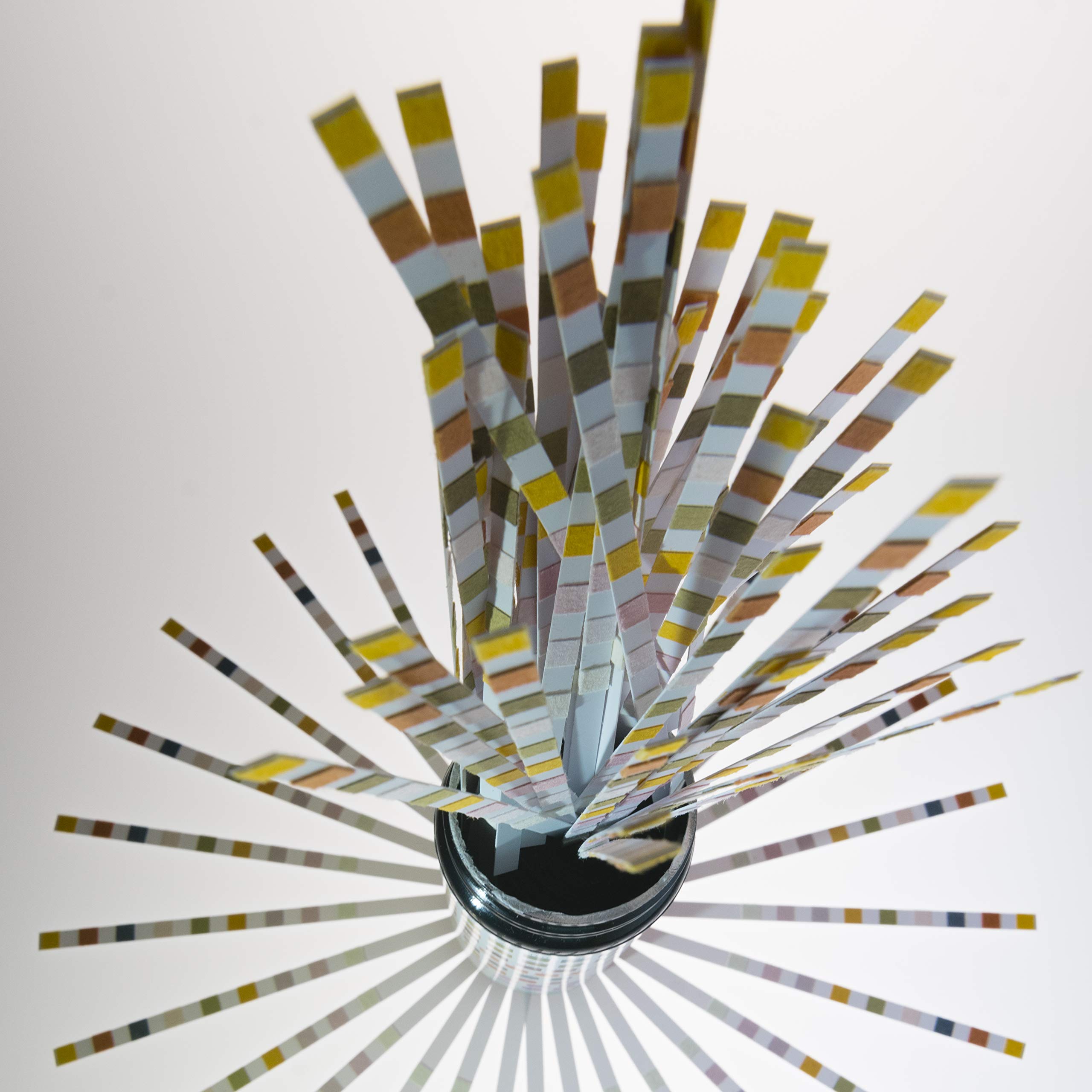 JNW Direct Drinking Water Test Strips 10 in 1, Best Kit for Accurate