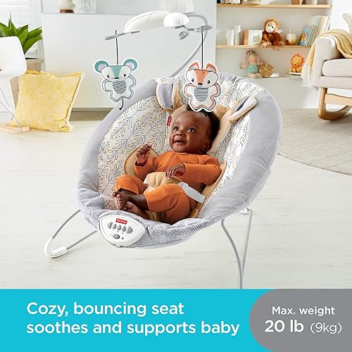 Fisher-Price Portable Baby Seat Fawn Meadows Deluxe Bouncer with
