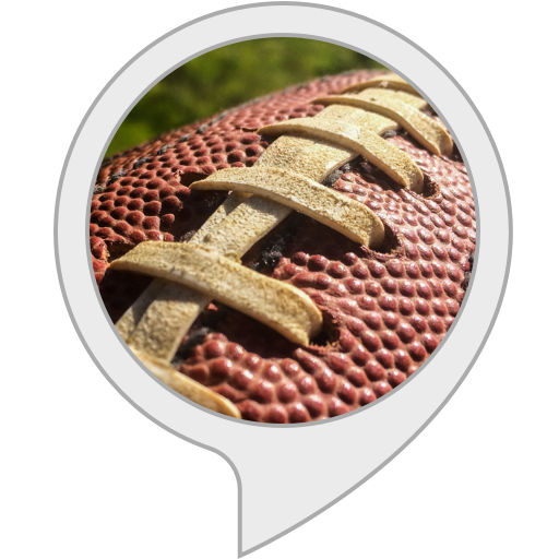 Pro Football Team Game Alexa Skills