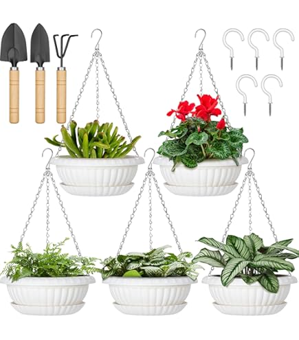 Amazon.com : Curtis Wagner 12" Clear Hanging Basket Drip Pan Saucer  (10-Pack) : Patio, Lawn & Garden