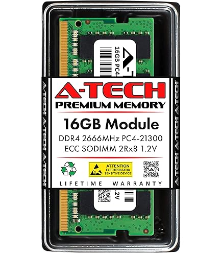 Synology RAM DDR4 ECC Unbuffered SODIMM 8GB (D4ES02-8G) at Amazon.com