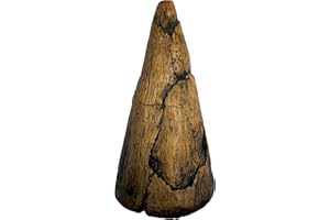 DINOSAURS ROCK Iguanodon Thumb Spike Replica - Museum Quality Dinosaur Fossil Specimen Reproduction