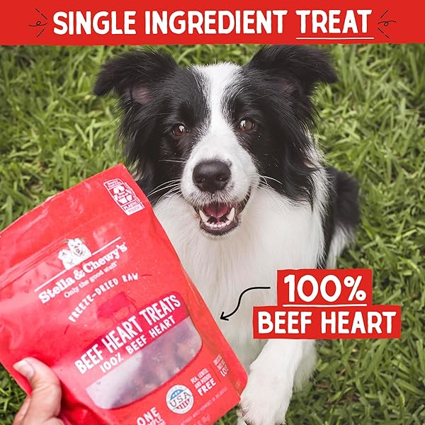 STELLA & CHEWY’S FREEZE-DRIED RAW SINGLE INGREDIENT BEEF HEART TREATS, 3 OZ. BAG