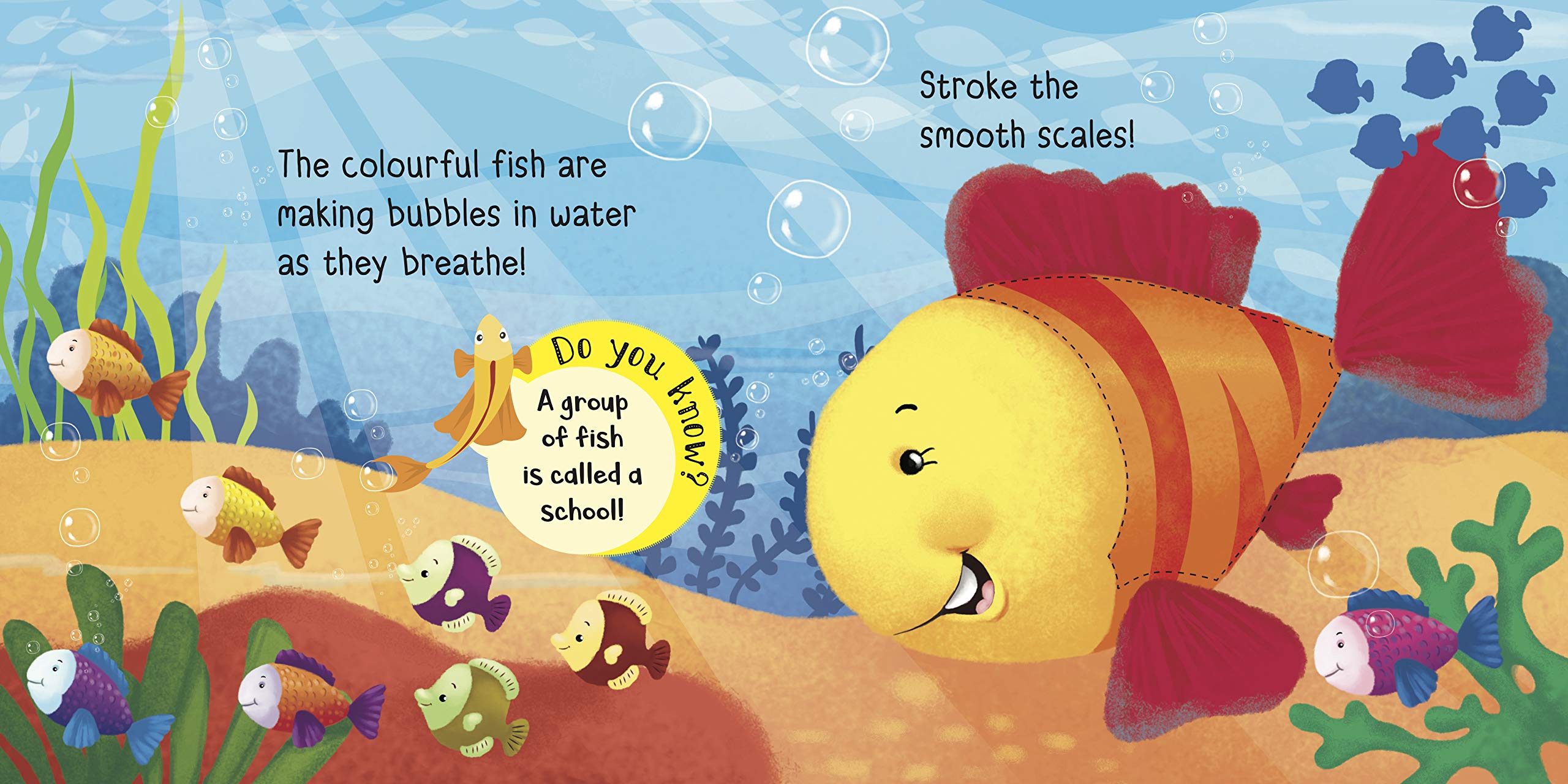 Board Book-Touch and Feel: Sea Friends 3