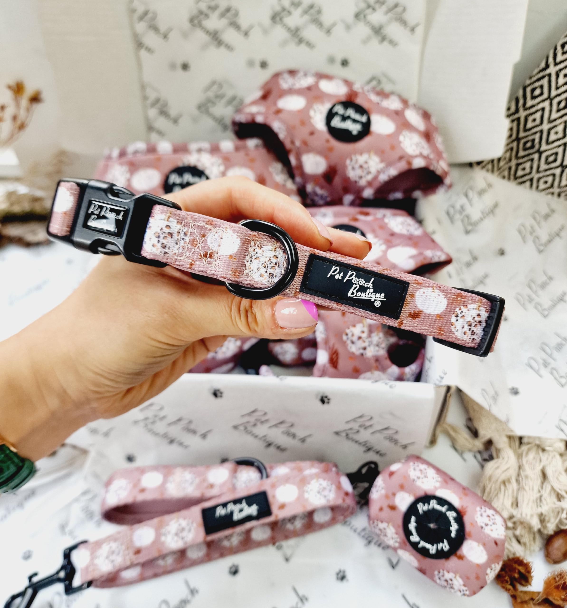 PUMPKIN LEOPARD LATTE DOG COLLAR S