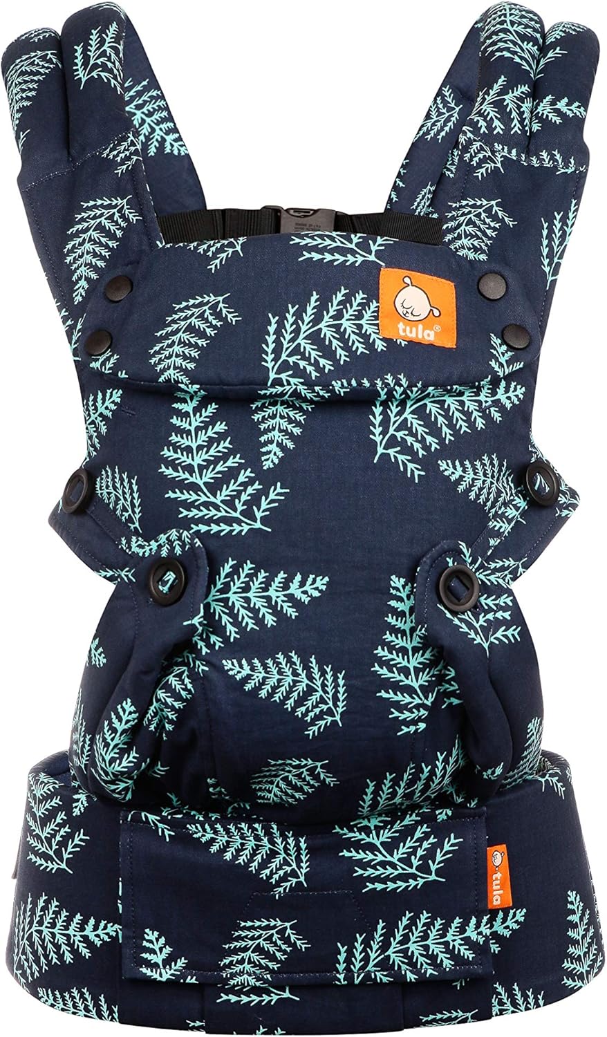 tula front carry facing out