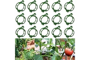 BANHEY 50 PCS plant clips, garden clips for climbing plants, plastic bracket clips，tomato clips，grape，vine，vegetable plant Clamps for climbing plants clear Plants to Grow Upright and make plants Healthier