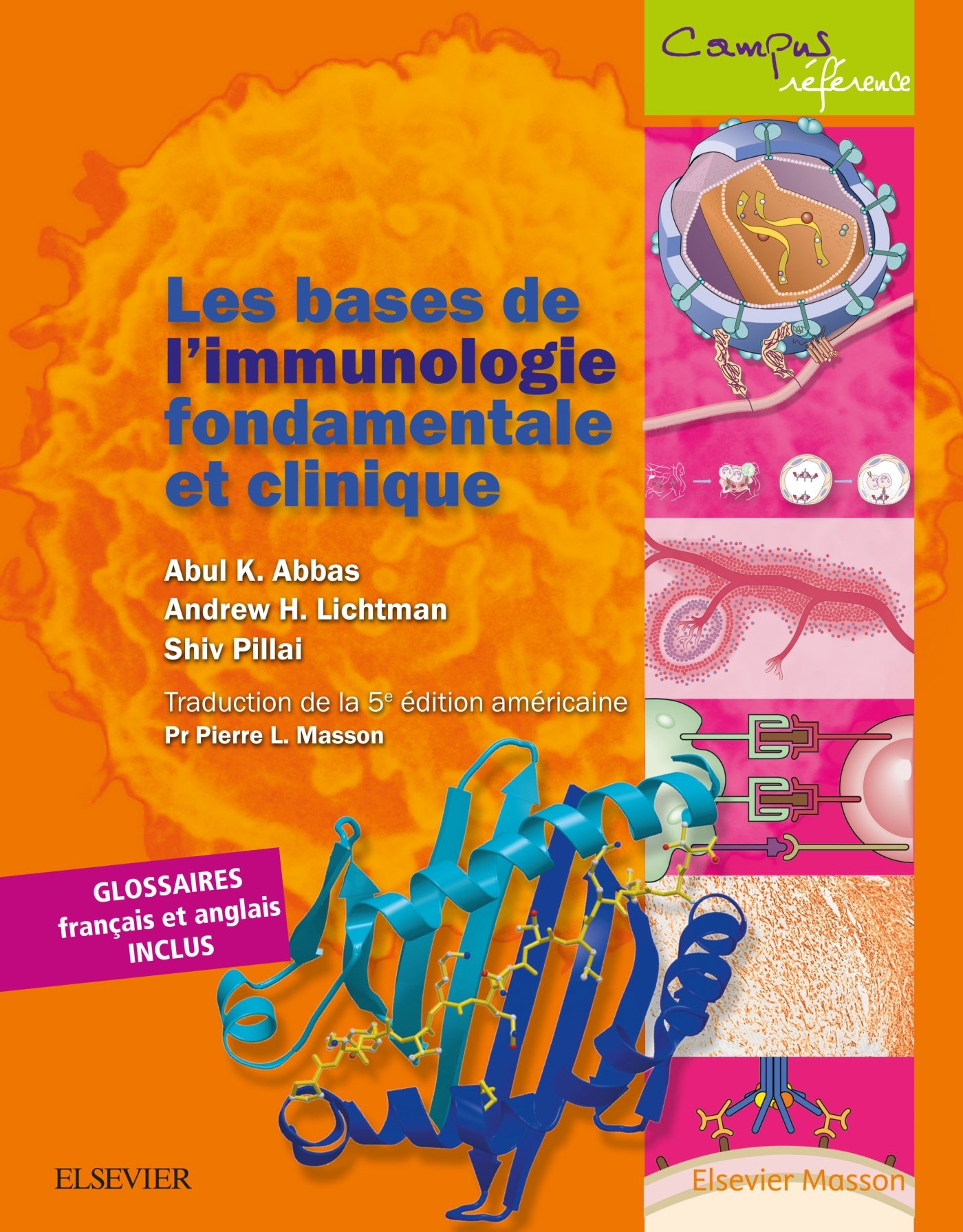 Les Bases De L Immunologie Fondamentale Et Clinique Campus 5e Ed Abbas Abul K 9782294752421 Books Amazon Ca