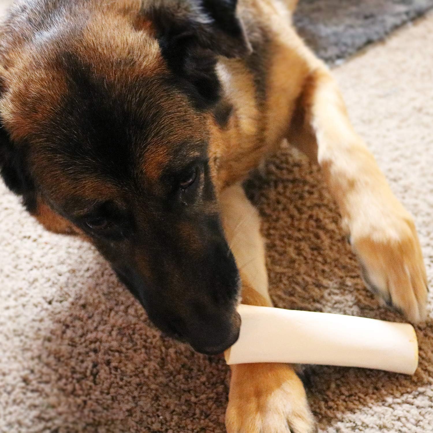 chewy louie dog bones