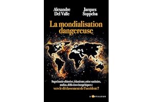 La mondialisation dangereuse: Vers le déclassement de l'occident (French Edition)