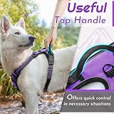 Eagloo Large Dog Harness No Pull Front Back Clips Reflective Easy Control view 5