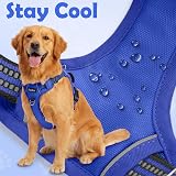 Funfox Dog Harness Small No Pull With Front Back Clip Reflective Strips Blue S view 6